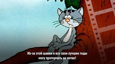 блог кота васьки Улица Лизюкова