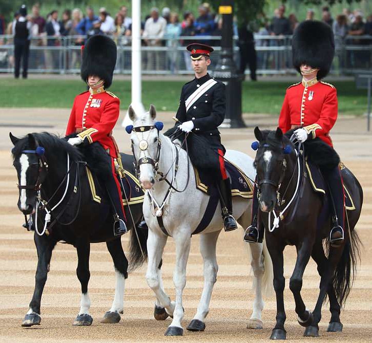 Royal Family Around the World Queen Elizabeth II marked her official