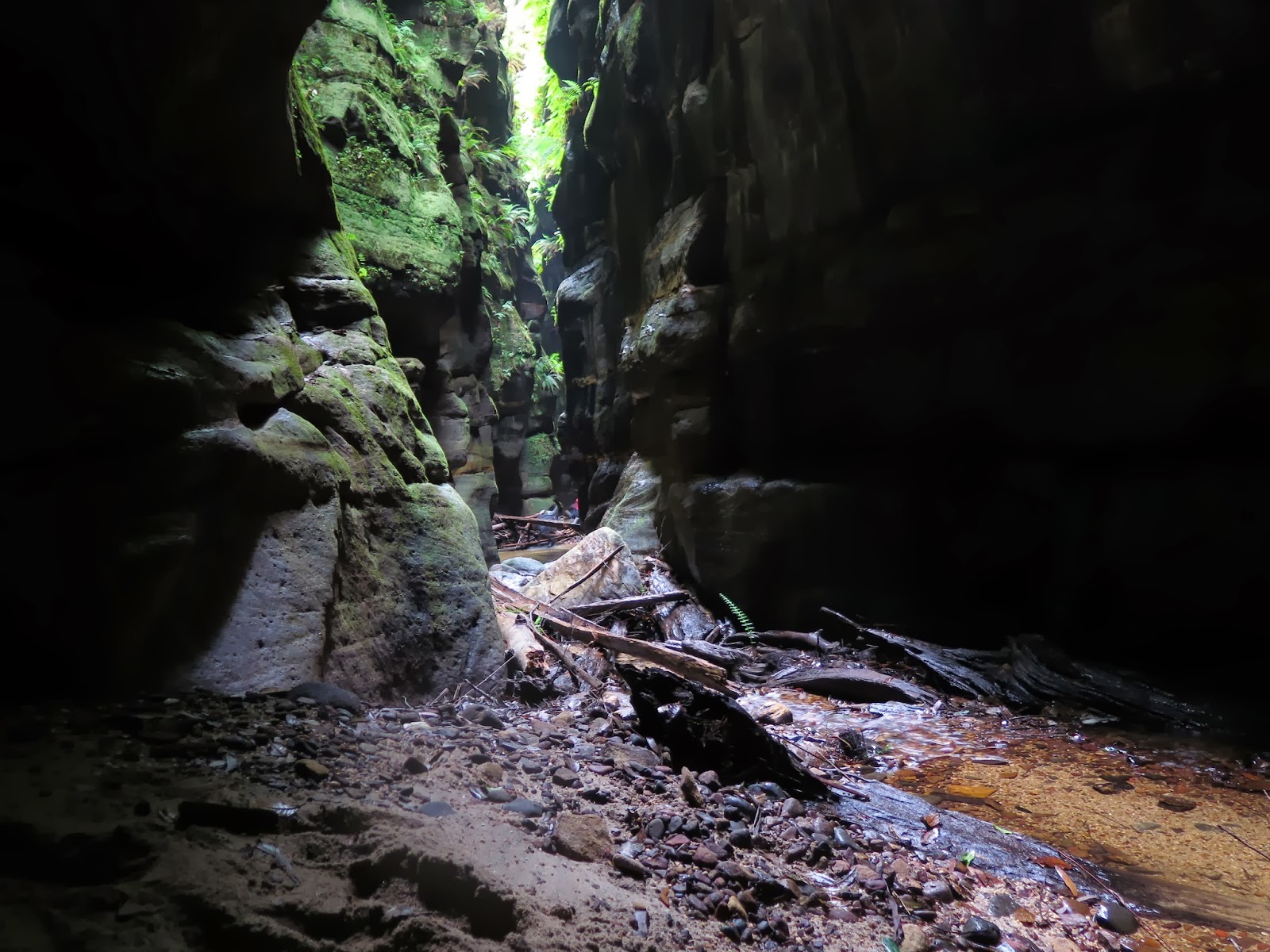 Darren M Claustral canyon