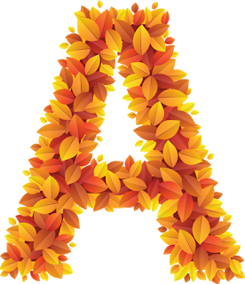 Abecedario hecho con Hojas Otoñales. Alphabet made with Autumn Leaves.
