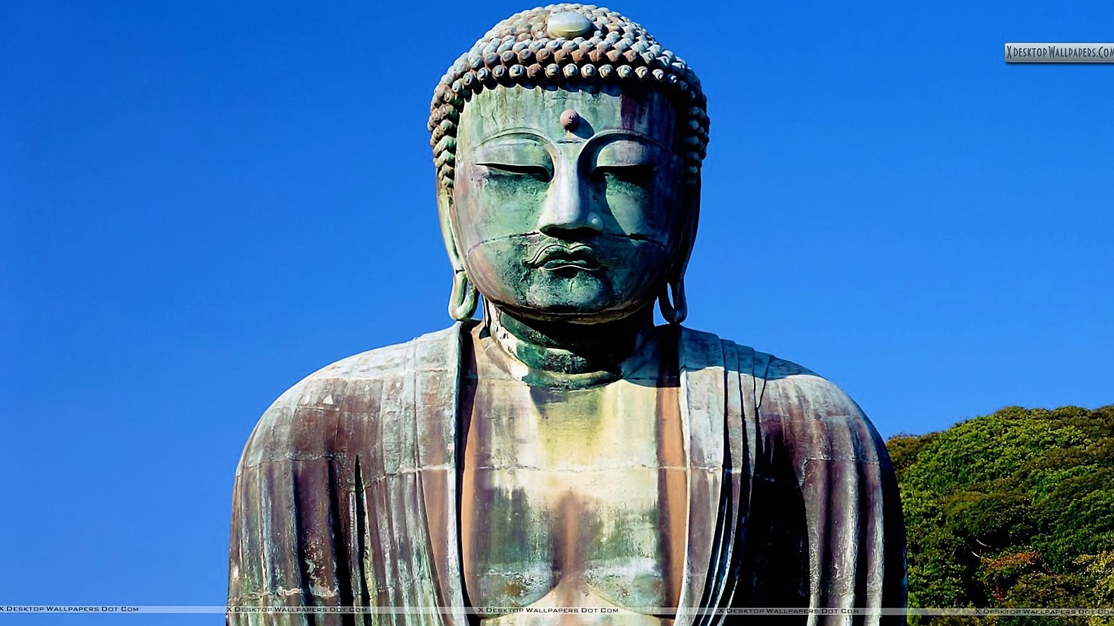 5five5 Great Buddha of Kamakura (Kamakura Japan)