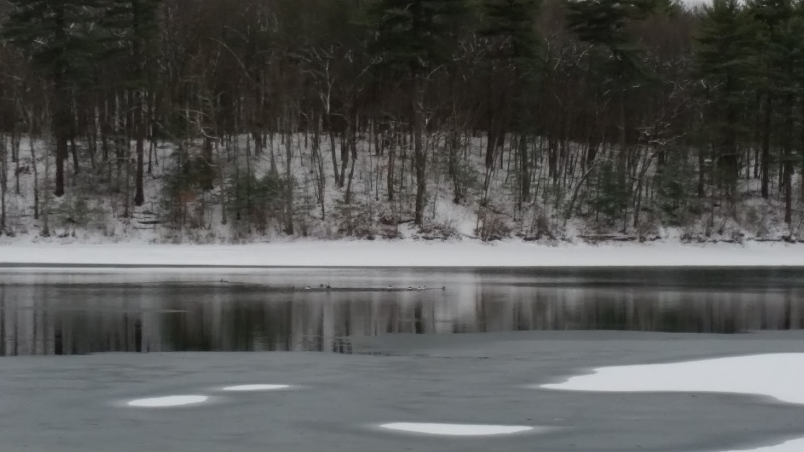 Walden Pond Winter into Spring (My six weeks of radiation) March 2017