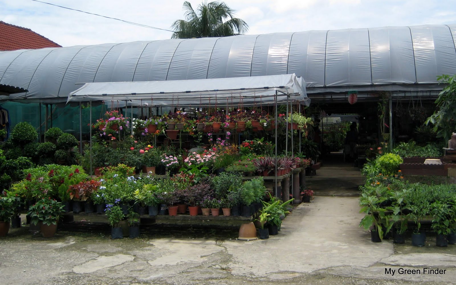 Plant Nursery Shah Alam tacitceiyrs