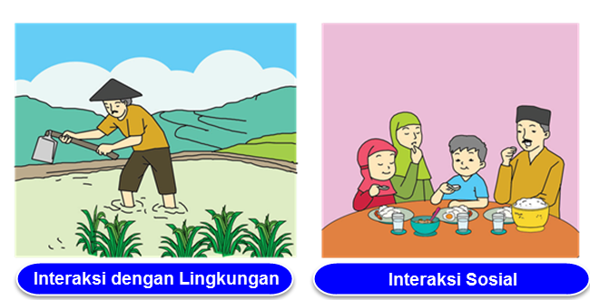 Sebutkan contoh interaksi manusia dengan lingkungan sekitar