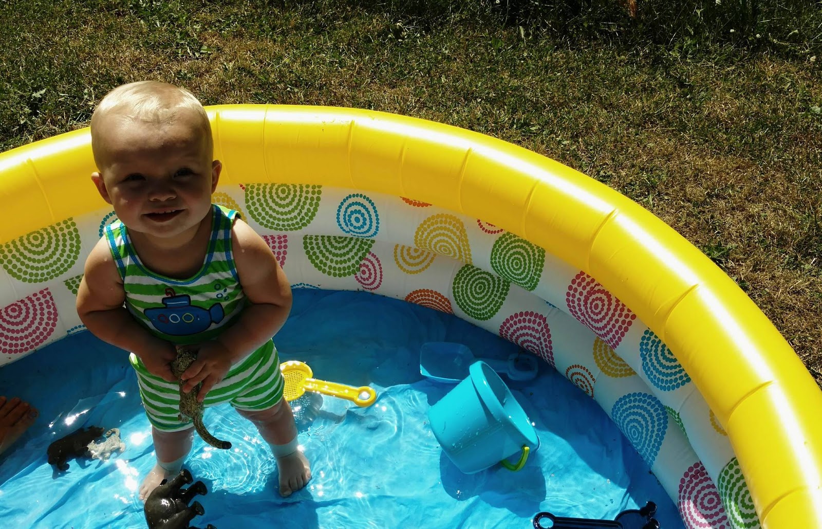 crossing off the bucket list swimming pool.