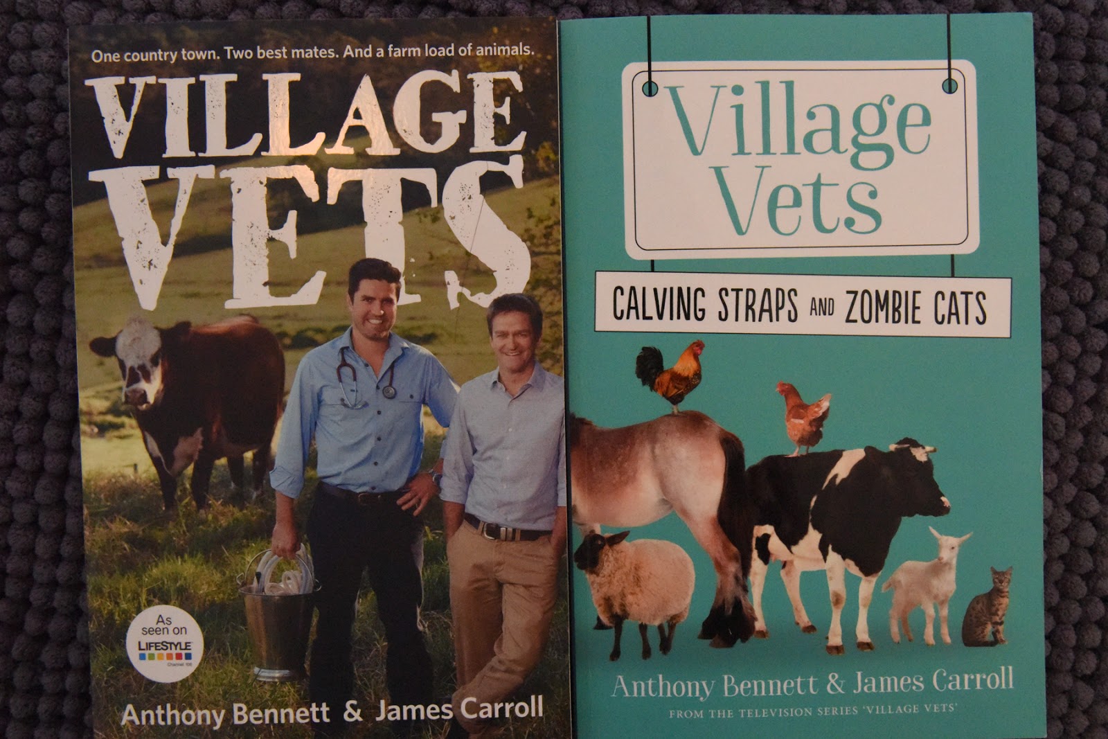Small Animal Talk Book review The Village Vets