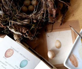 Robin's egg on vellum