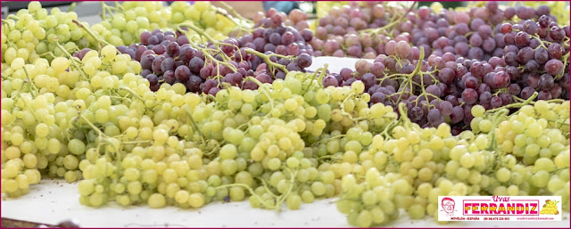 Uvas Ferrandiz: Temporada de vendimia 2018 - Red Globe y Moscatel (las