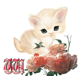 Abecedario Animado de Gatito Bebé con Rosas. Baby Cat With Roses Alphabet.
