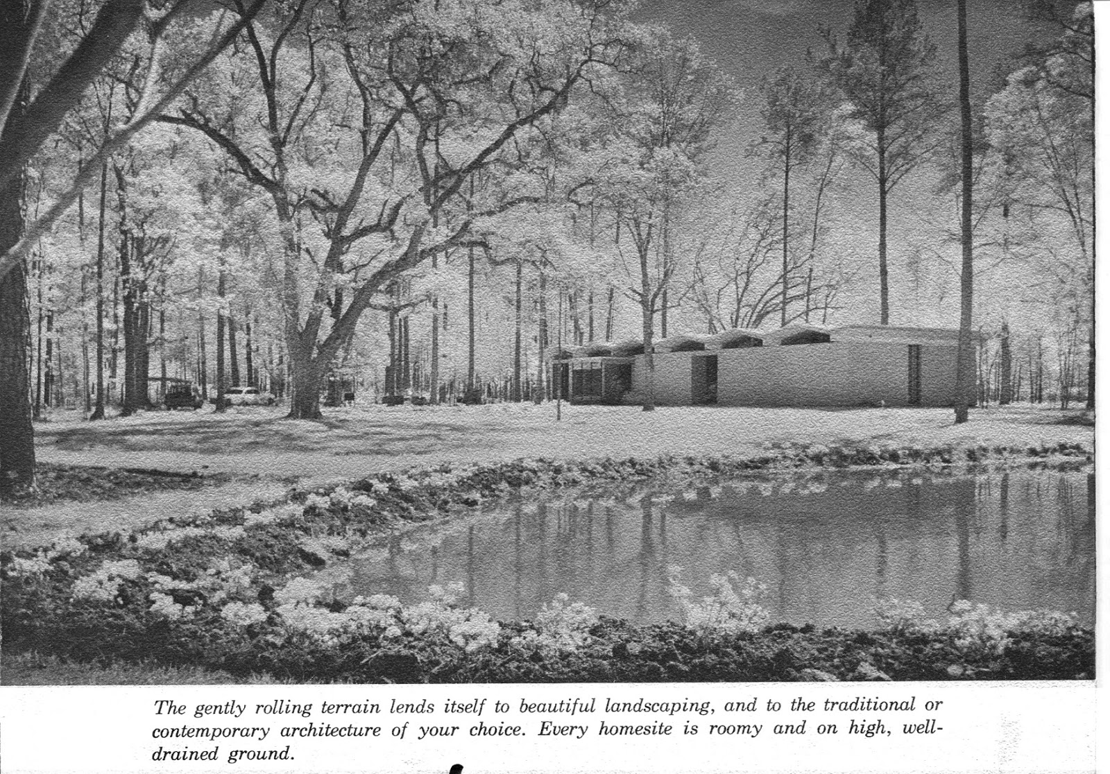 Tammany Family Covington Country Club Brochure