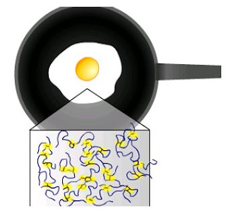 perubahan kimia telur perubahan kimia telur