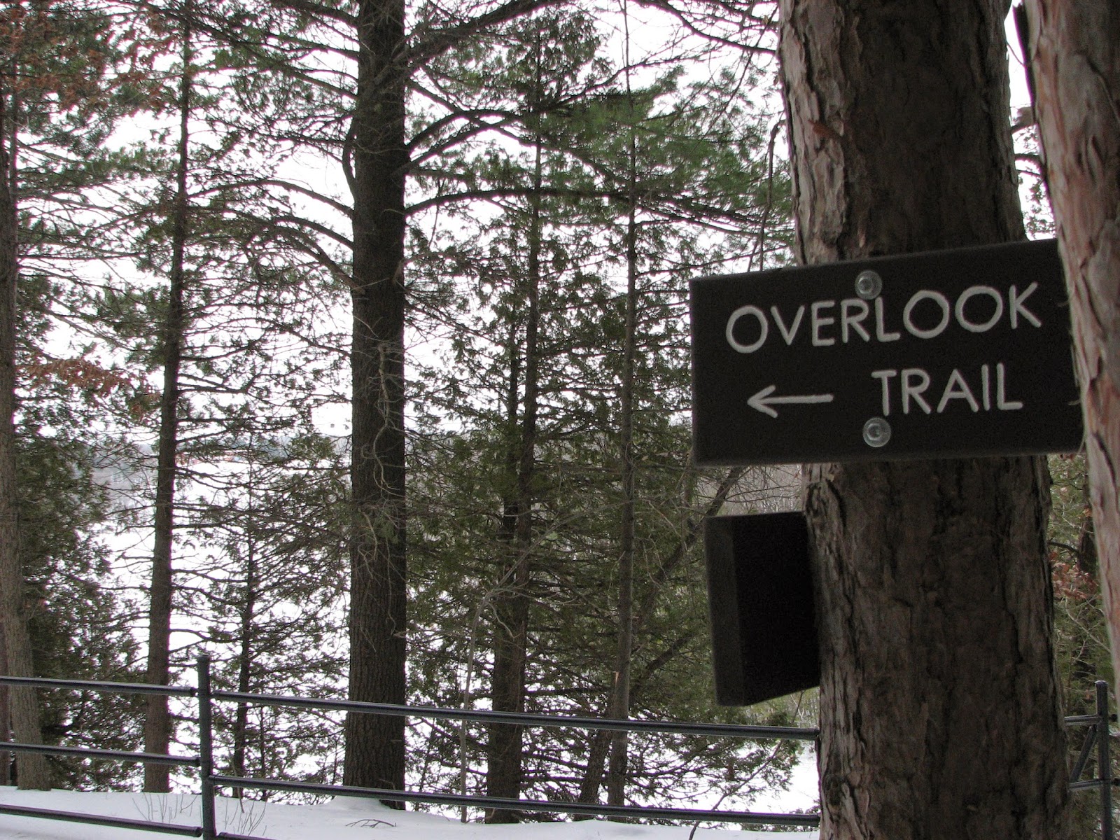 South Burlington, Vermont nature trails Winooski Overlooks ParkDon't look down! South