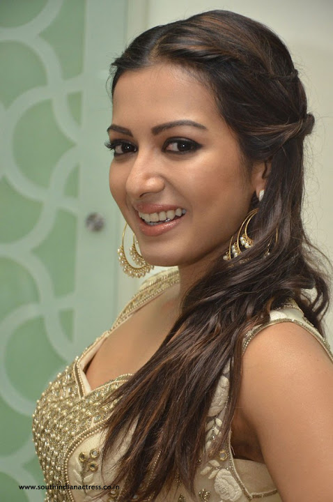 Catherine Tresa at Gautham Nanda success meet
