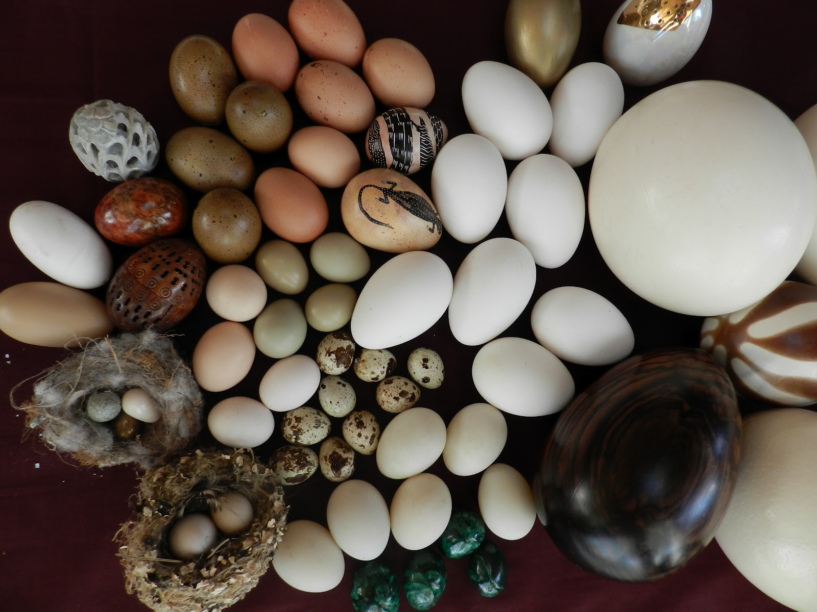 touch a tout Un cadeau venu d