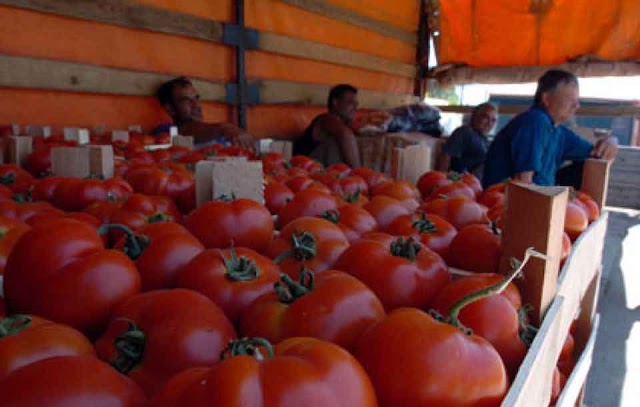 Handelskrieg? Kosovo hebt Einfuhrsteuern auf Mazedonische Produkte an - bis zu 30 Prozent