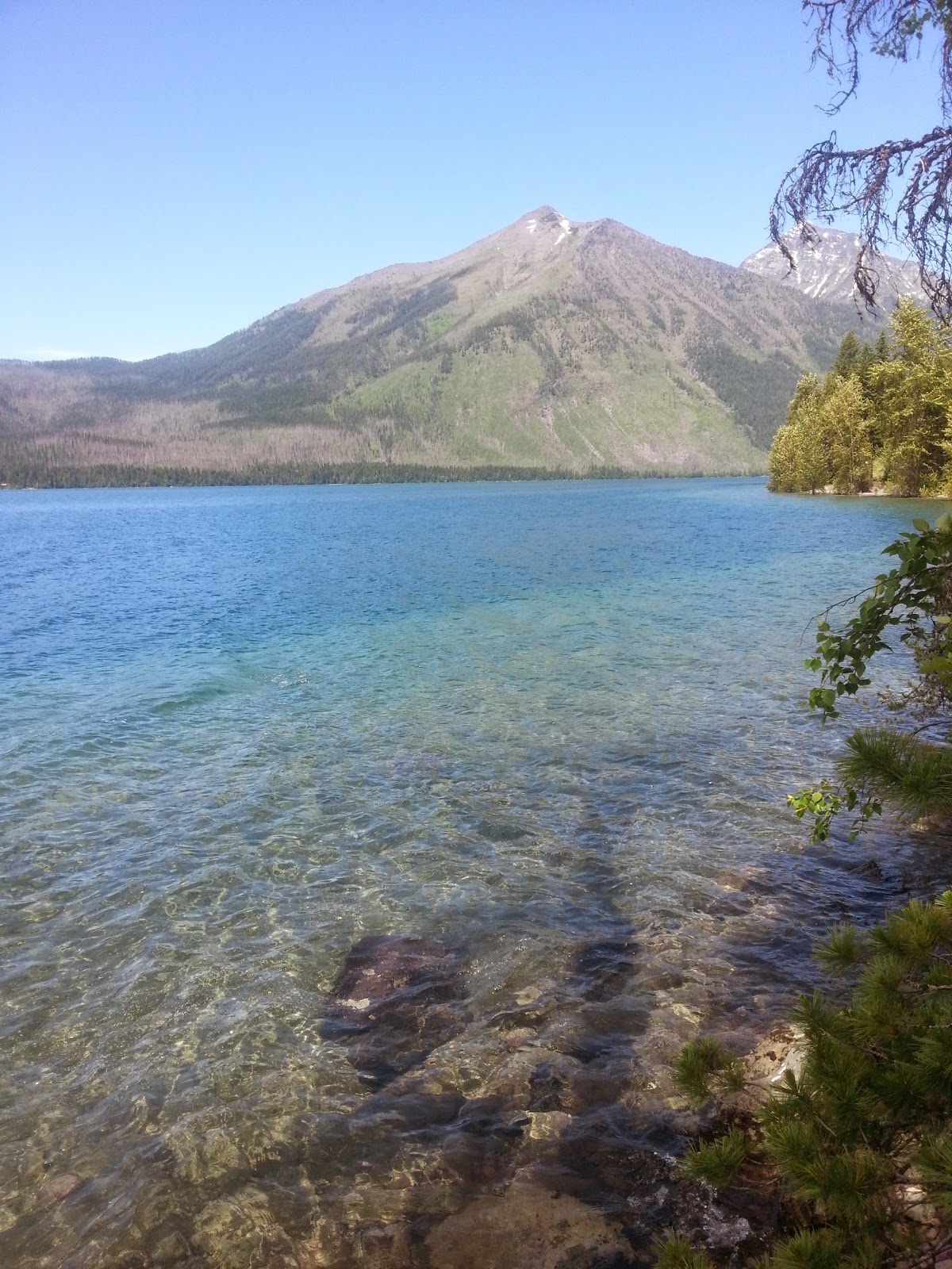 Dont Just See Glacier Must Do Things In Glacier National Park You Need To Experience - 8ejut0z
