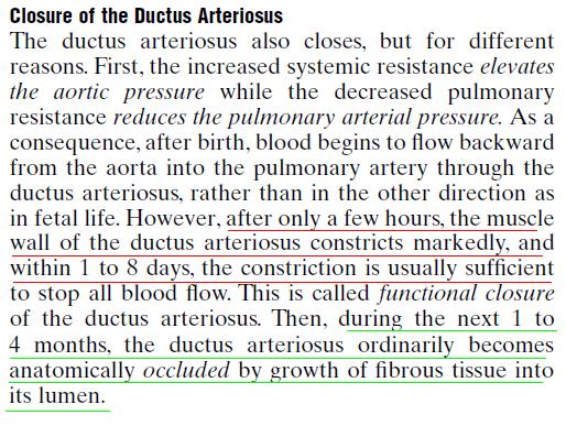 MedicoNotebook: Physiological and Anatomical closure of Ductus Arteriosus