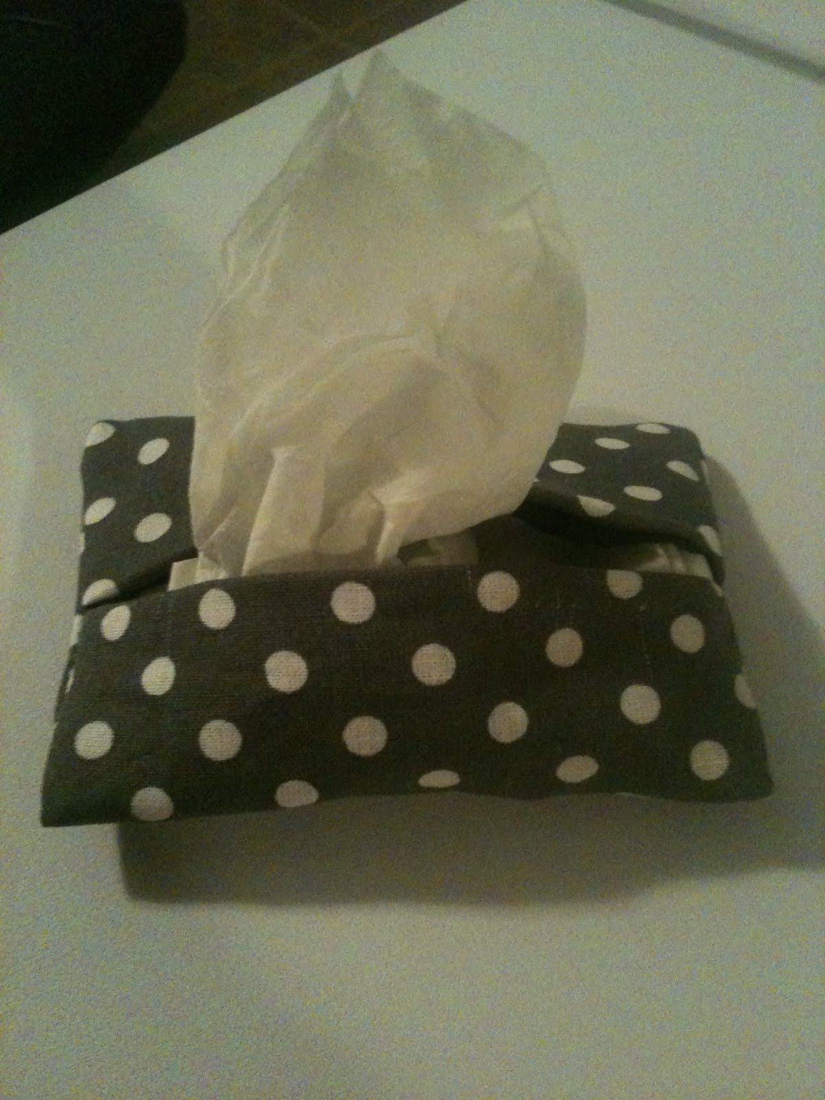 Thee Silly Life of E Cute Fabric Tissue Holders