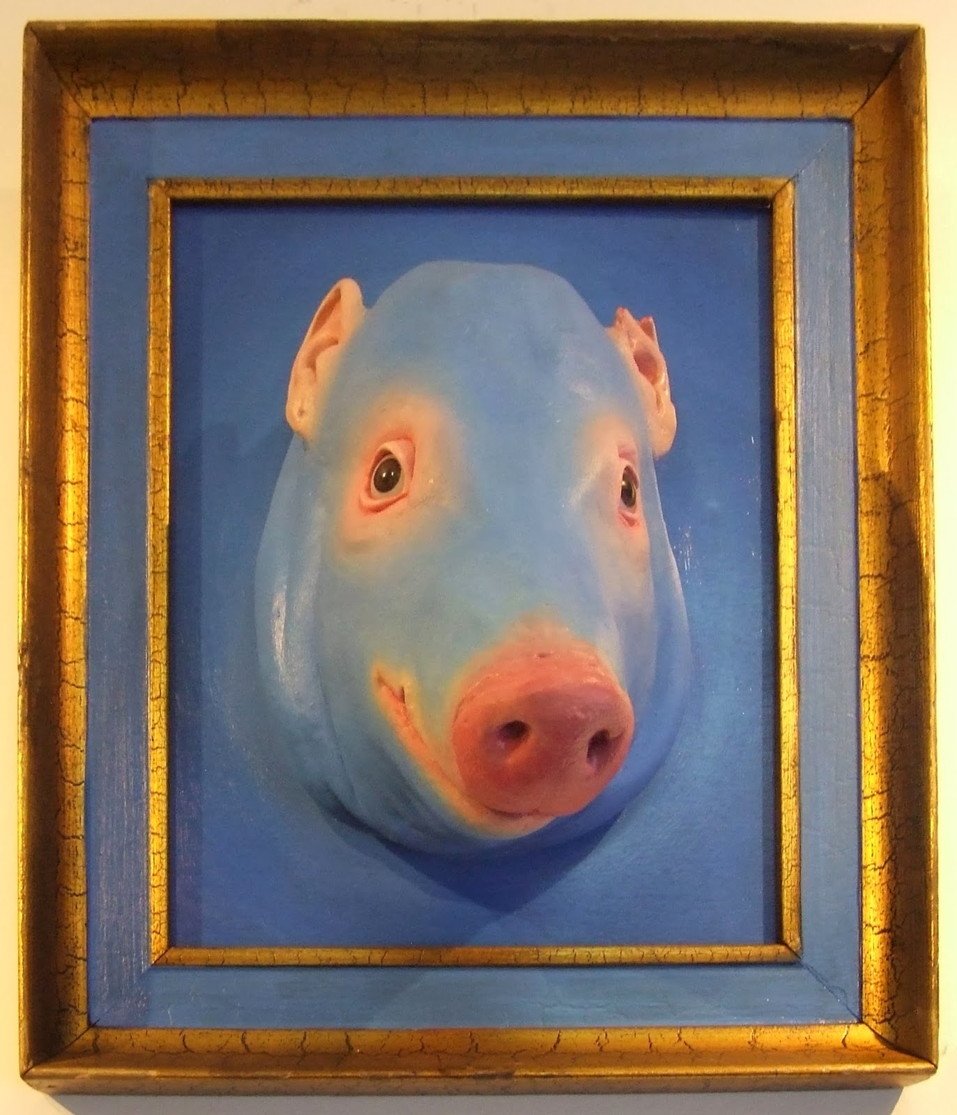 Utopía Color Gamboa Bros.: Cerdo azul. Poliéster y óleo.