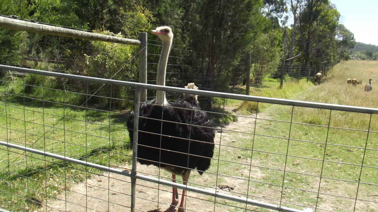 TRACKS, TRAILS AND COASTS NEAR MELBOURNE Warburton Rail Trail Launching Place