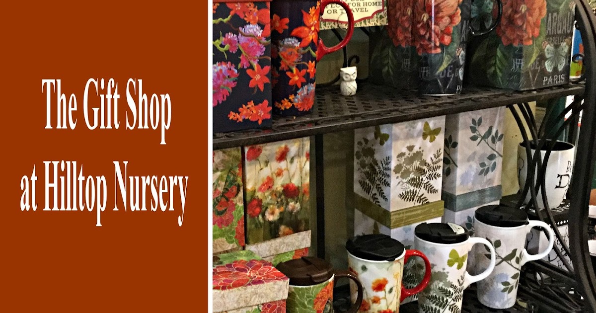 EverythingCroton A VISIT TO THE GIFT SHOP AT HILLTOP NURSERY