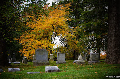 Bellefontaine Cemetery photo by mbgphoto