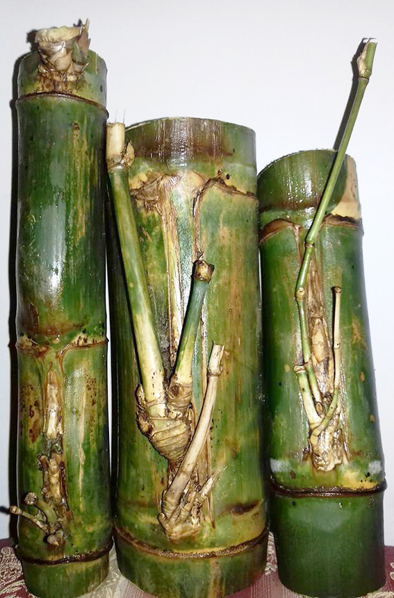 Galeri Bambu  Unik Nusantara Aneka bambu  unik Pring Jalu 