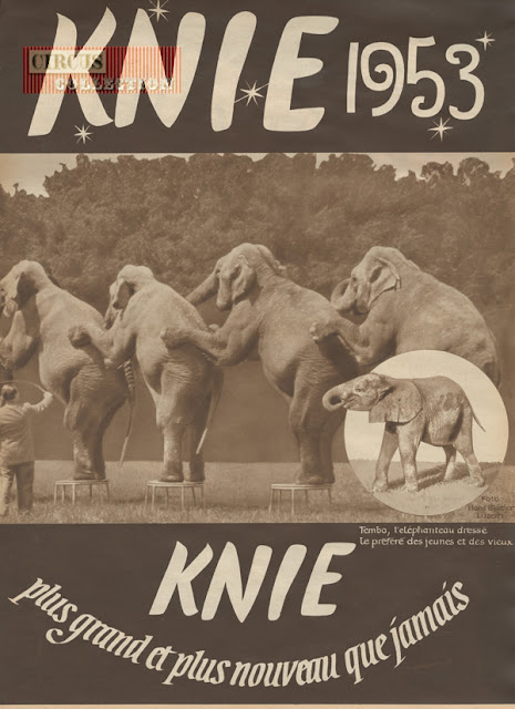 Flyer de la saison 1953 du Cirque Knie  plus grand et plus nouveau que jamais 