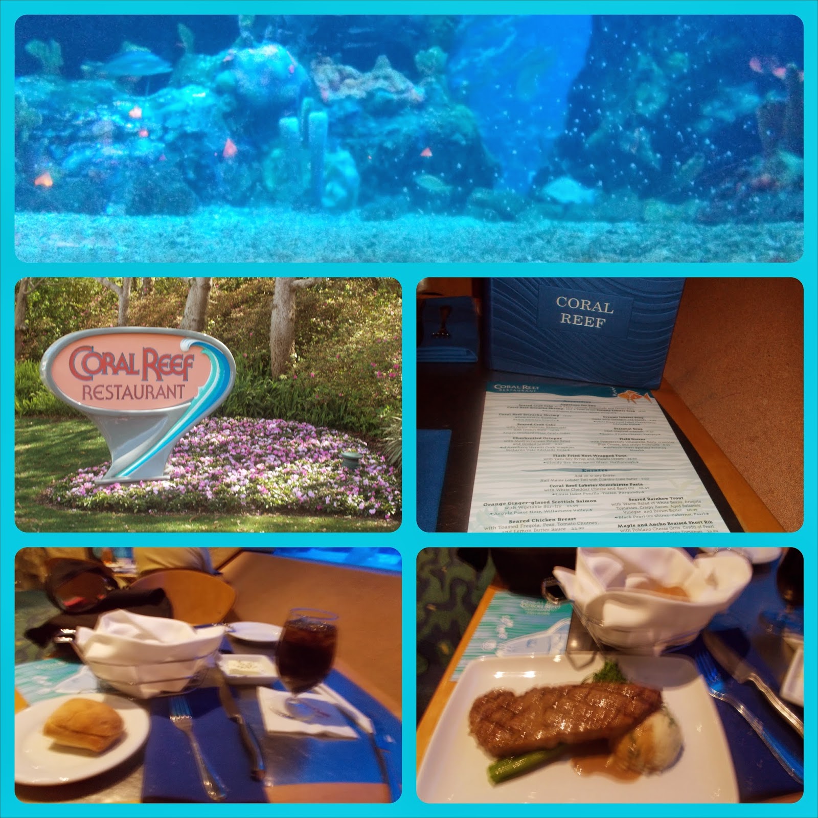 Blog for a travelin' man Review Coral Reef restaurant