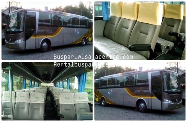 Buah Batu Cooler: Mengantar Petualangan Anda dengan Kenyamanan dan Gaya