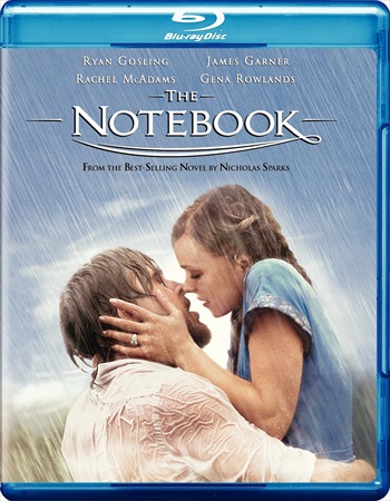 The Notebook 2004 Dual Audio Hindi Bluray Download