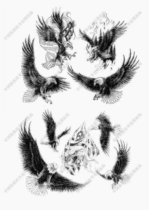 los mejores tatuajes de aguilas y diseños para tatuarse