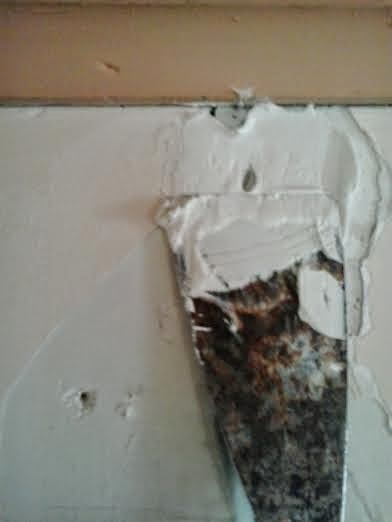 Imagen 0