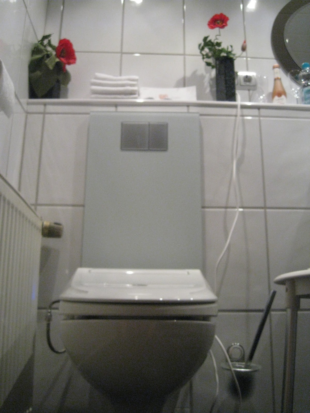 FRESHWORLD GEBERIT AquaClean 4000 Installation