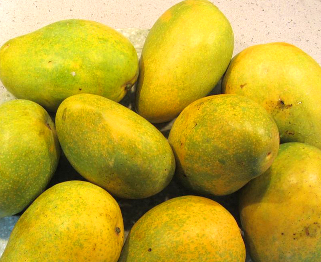 10 Popular Indian Mango Varieties