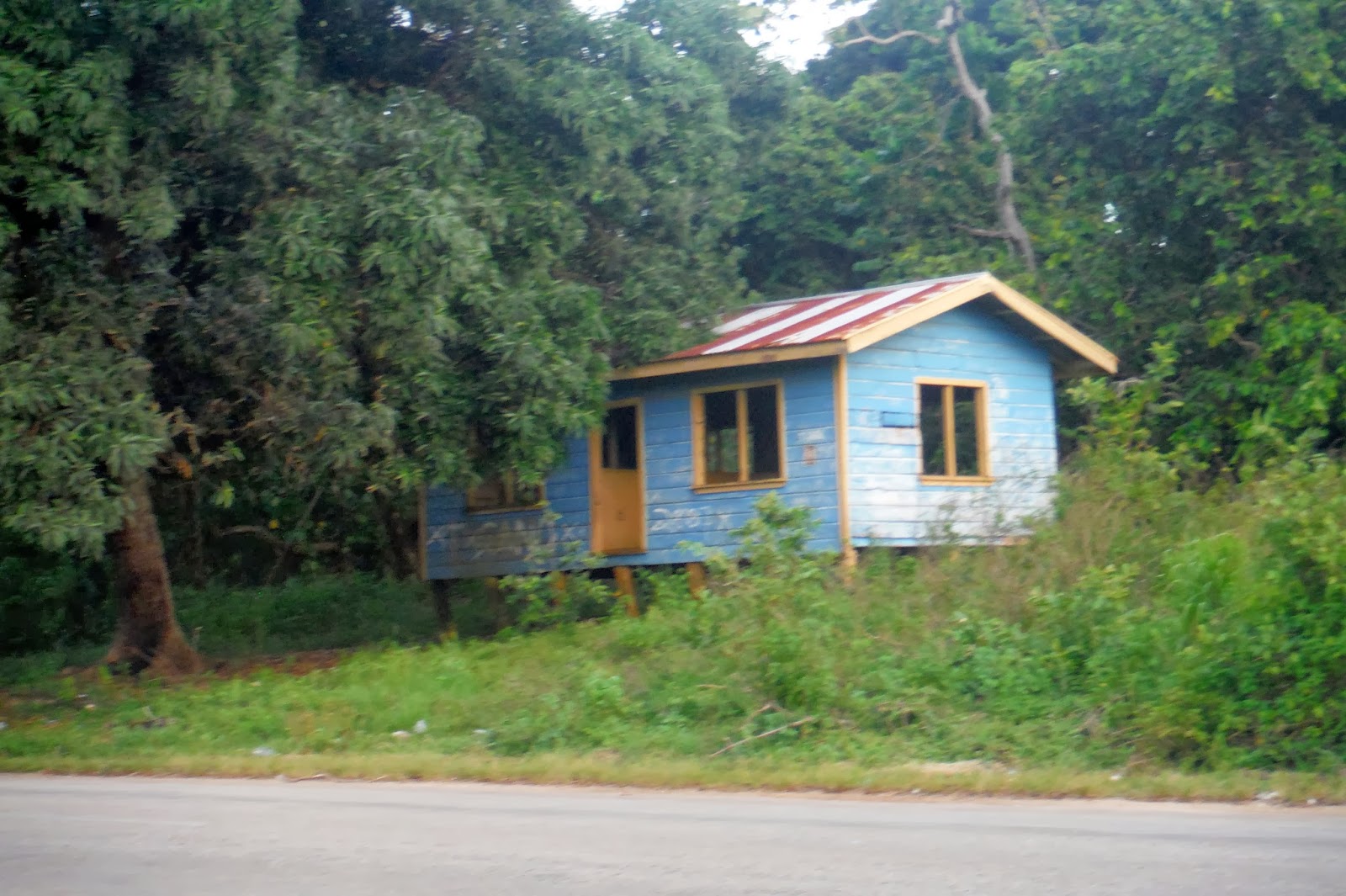 Testimonies from Tonga TONGAN HOUSES