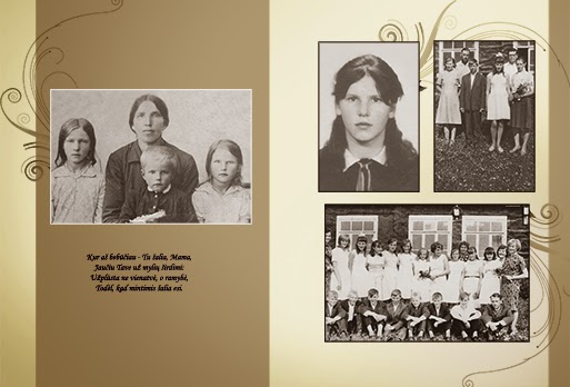 vartotojo kelta nuotrauka