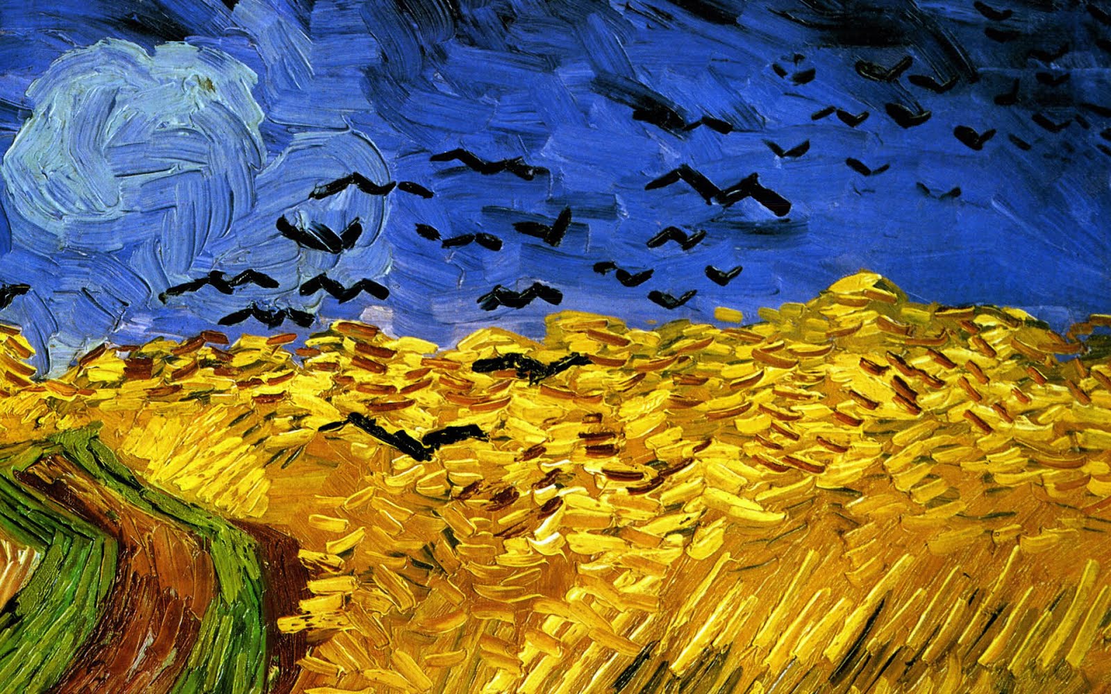 GALERIA - Van Gogh Sadow