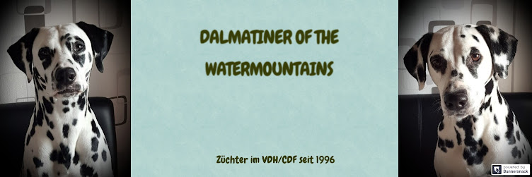 Dalmatiner of the Watermountains