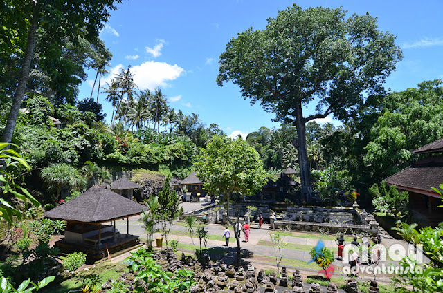 WHAT TO DO IN UBUD