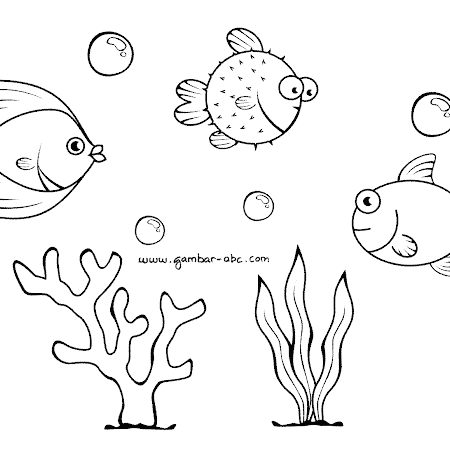 Sketsa Gambar Mewarnai Ikan Terbaru Lucu Sederhana Mudah Ditiru Hias