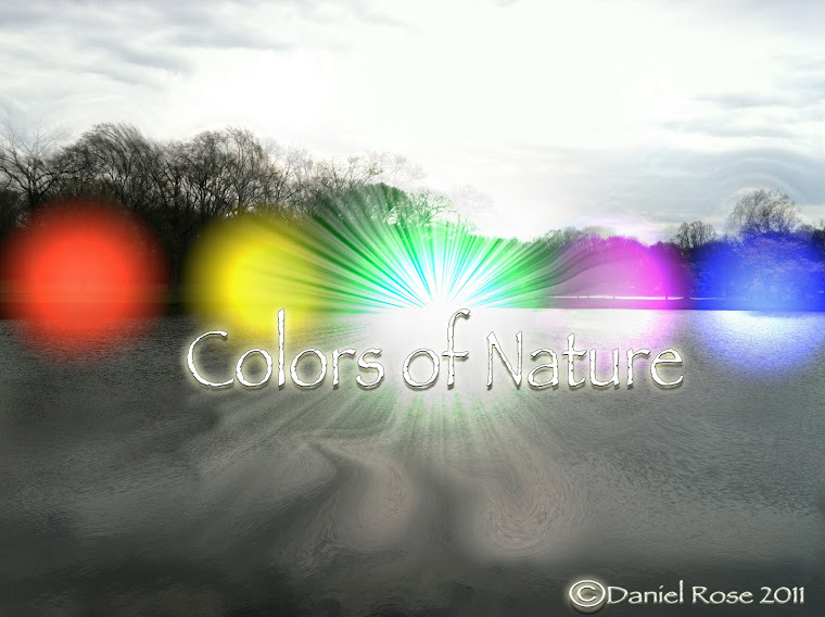 COLORS OF NATURE