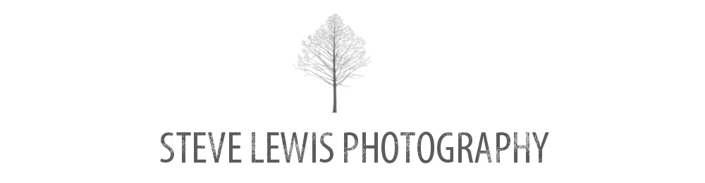 Scranton Wilkes-Barre  Wedding Photographer | Steve Lewis Photography