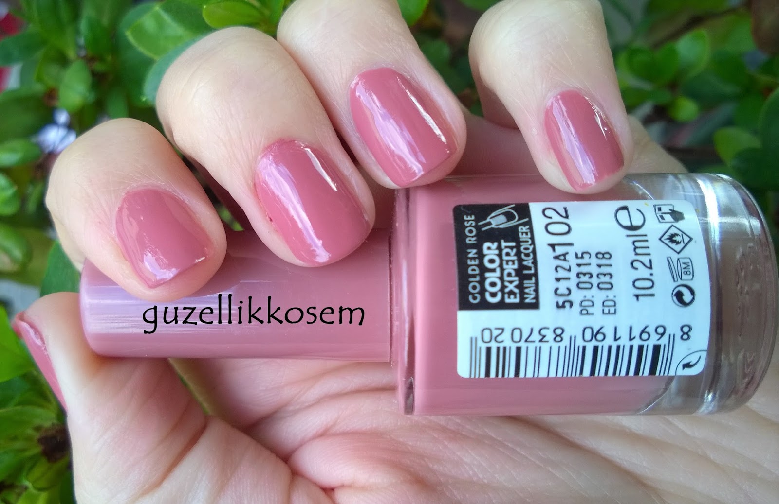 Golden Rose Color Expert Nail Lacquer 102 Review - wide 9