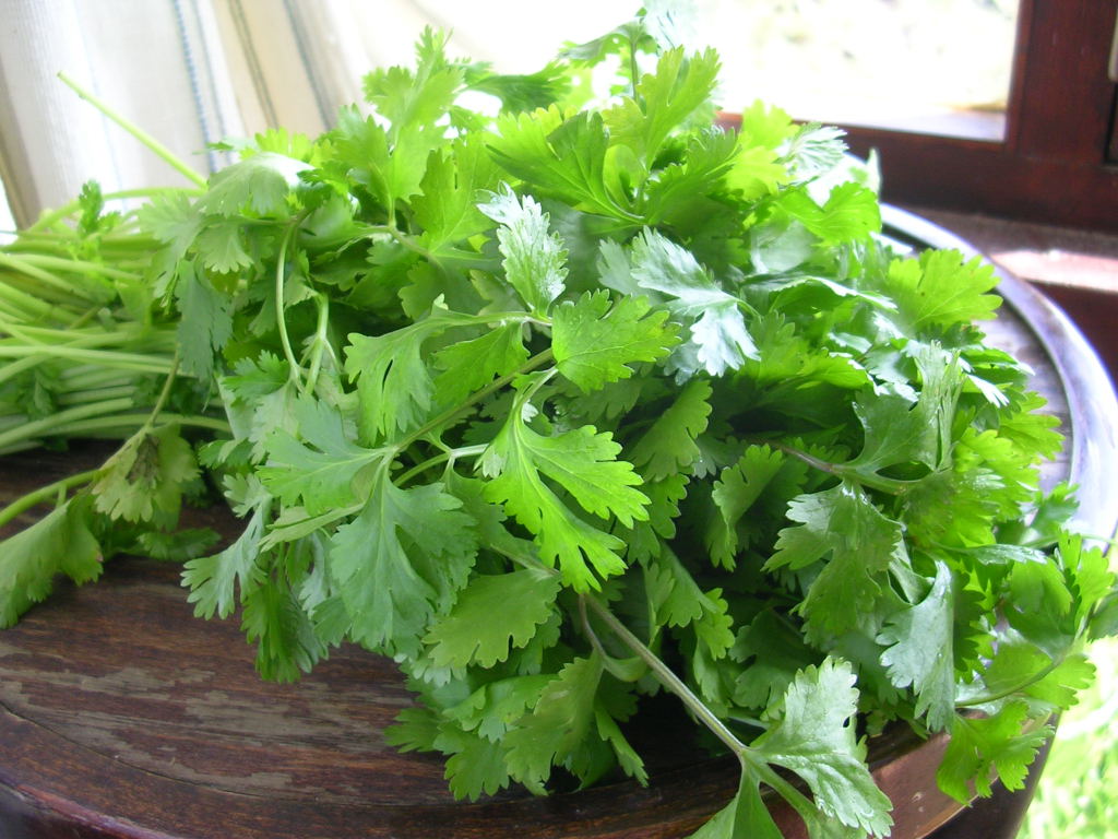 MY KITCHEN IN SPAIN May 2011