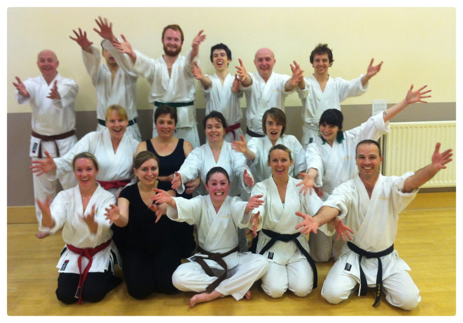 Alternative Karate Why Alternative Karate?