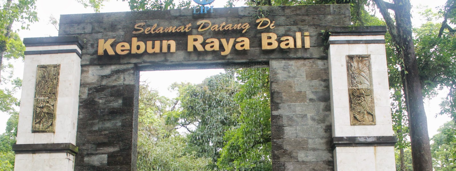 Sekolah Internasional Di Ubud Bali Perokok m