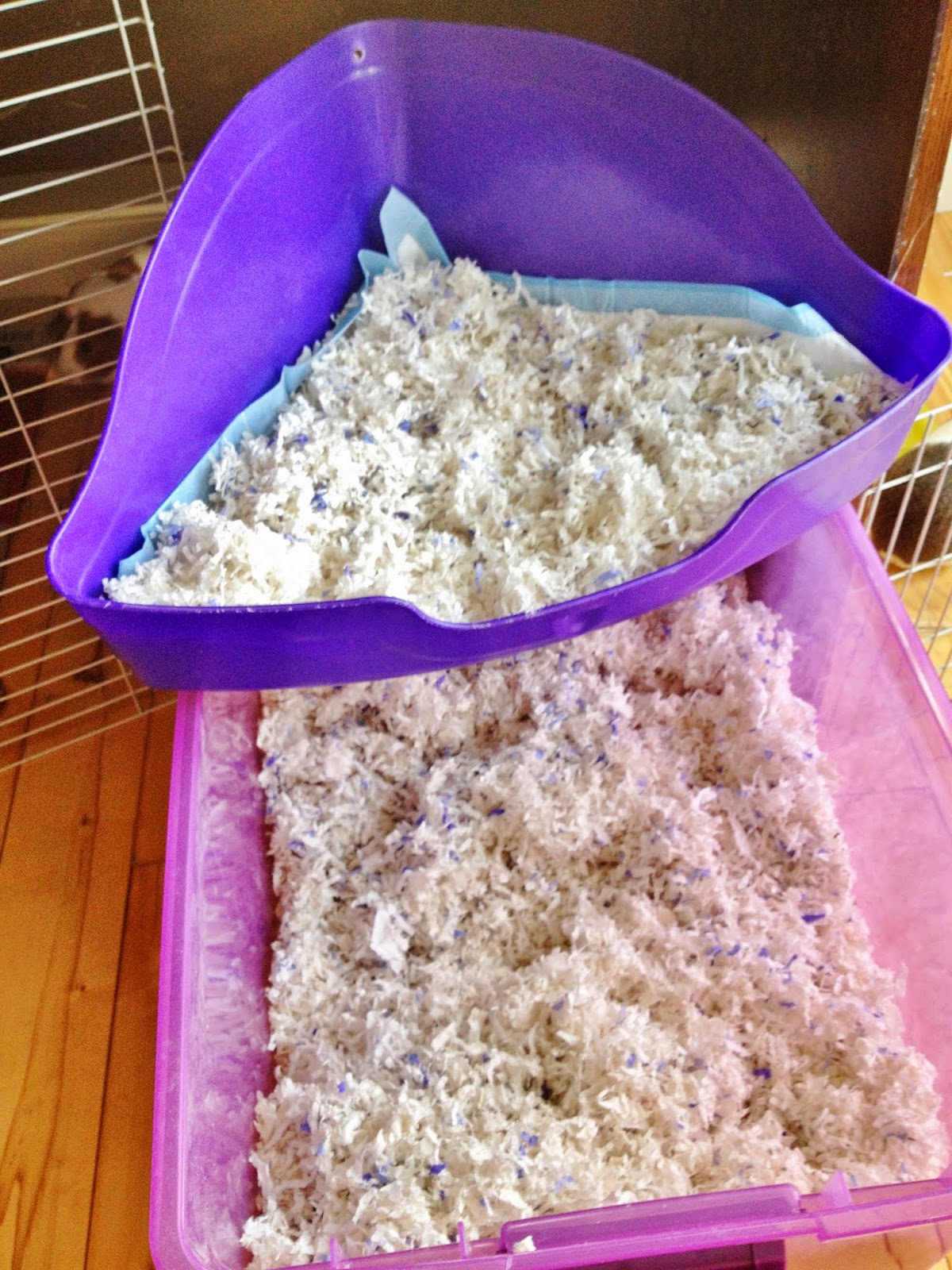 Fill corner potty with absorbent litter material. This is a mix of Kaytee Clean & Cozy Small Animal bedding in Lavender and Original. Fill corner potty with absorbent litter material. This is a mix of Kaytee Clean & Cozy Small Animal bedding in Lavender and Original.