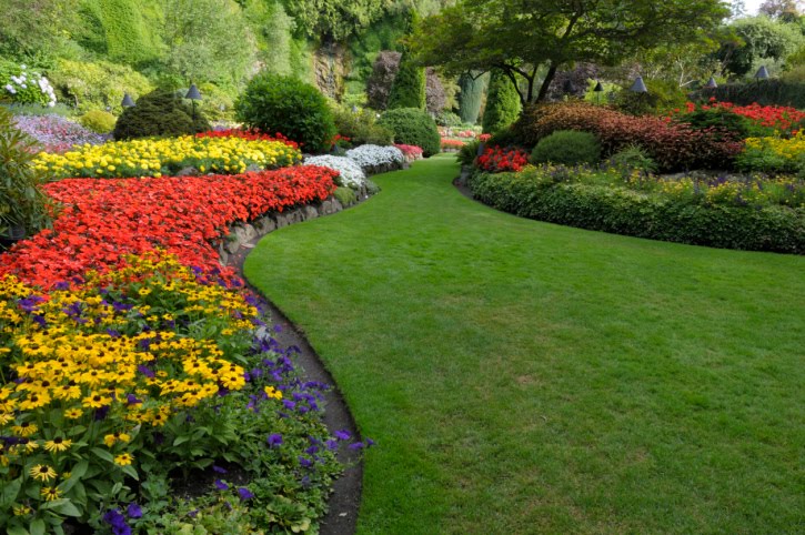 DIY Beginner - Landscaping & Gardening: Delay