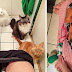 26 Hilarious Pictures Of Pets That Made Our Day